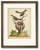 "Natural Habitat II" Gallery Collection Framed Art, 16"x20"