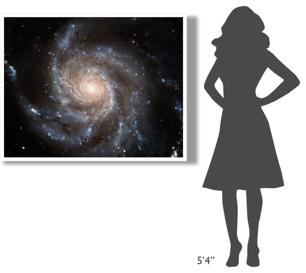 "Messier 101 (M101)" Digital Paper Print by NASA, 50"x38"