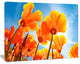 Yellow Spring Flowers on Blue, Floral Canvas Art Print, 20"x12"