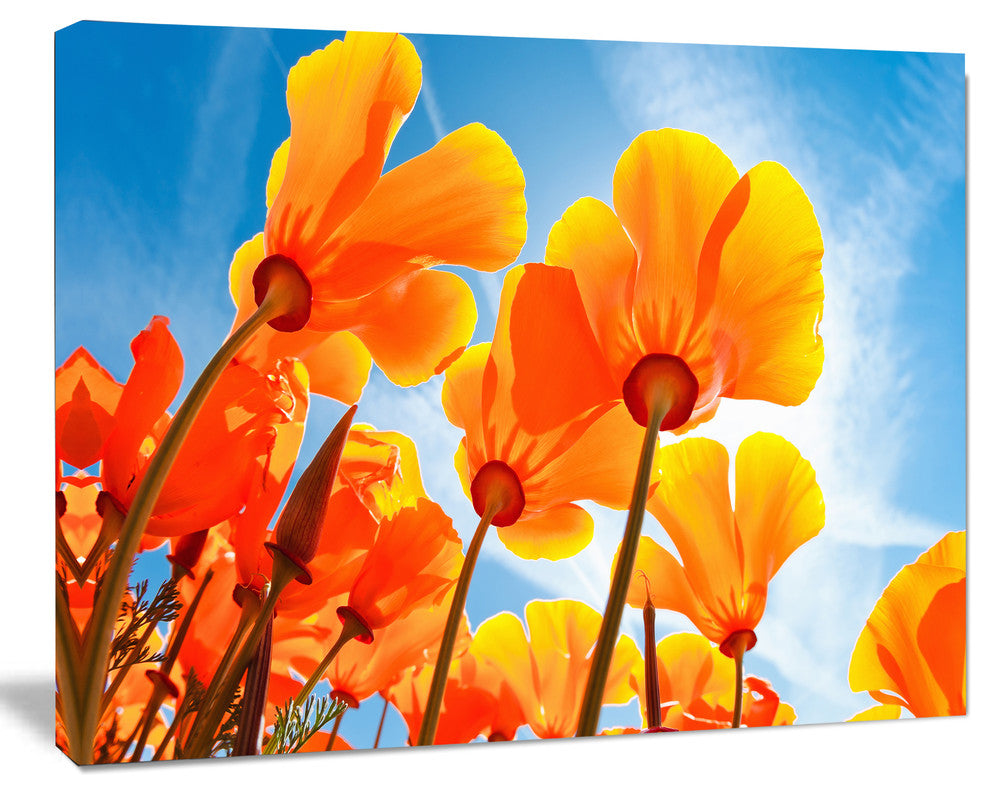 Yellow Spring Flowers on Blue, Floral Canvas Art Print, 20"x12"