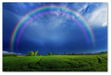 'Lucky Rainbow' Canvas Art by Philippe Sainte-Laudy