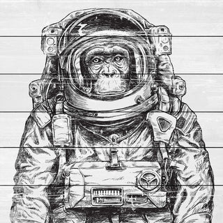 "Space Monkey" Painting Print on White Wood, 18x18
