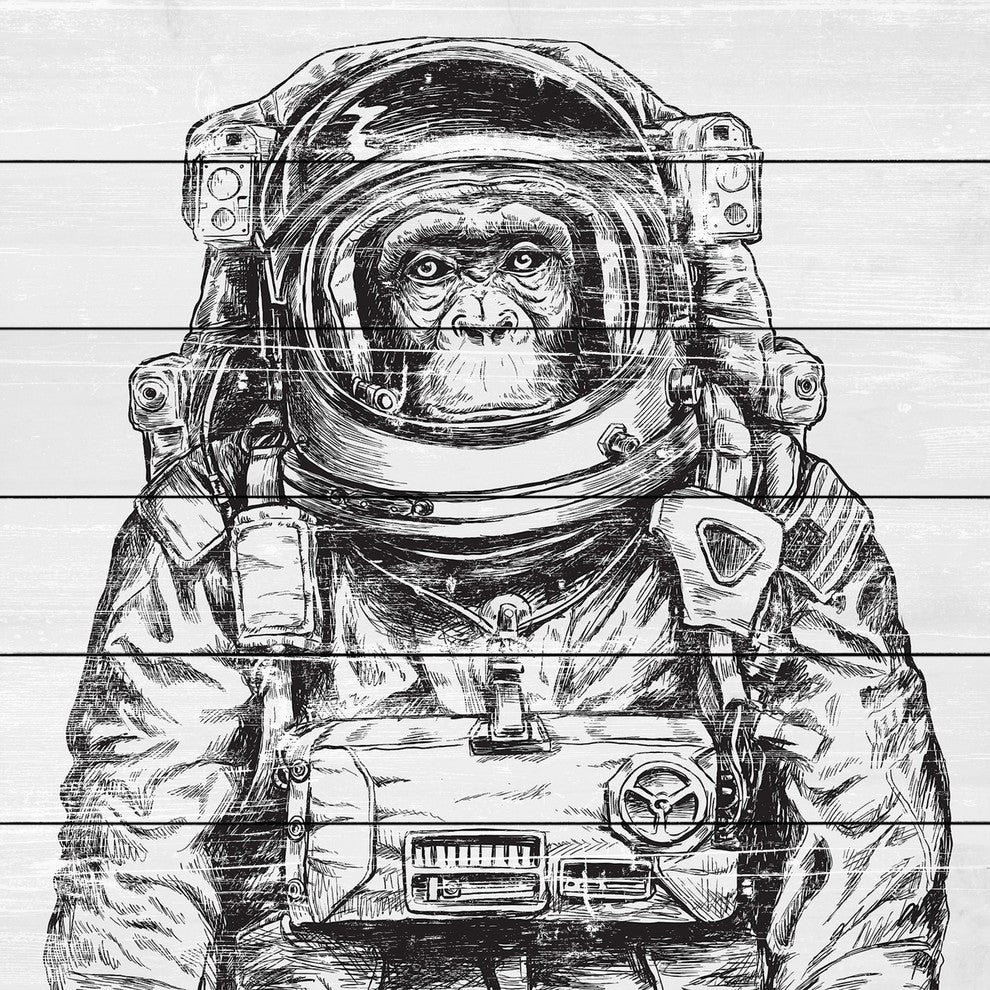 "Space Monkey" Painting Print on White Wood, 18x18