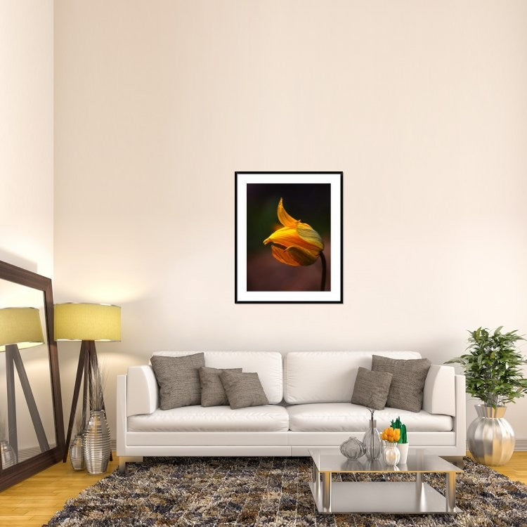 "Shine" Framed Digital Print by Kent Mathiesen, 36x44"