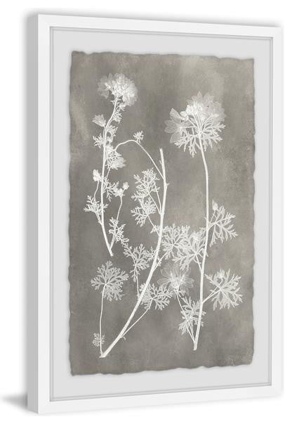 "Vintage Plant Study I" Framed Painting Print, 12"x18"