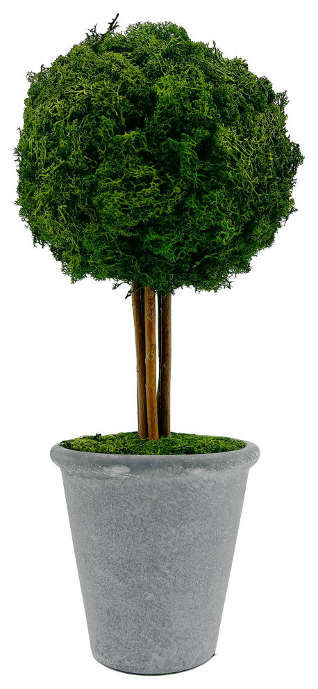 Preserved 16" Reindeer Moss Ball Potted Topiary Tree Green, Pair
