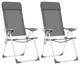vidaXL Folding Camping Chairs 2-Piece Gray Aluminum