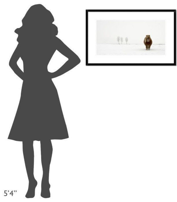 "The Cold Pony" Framed Digital Print by Gert Van Den, 32"x20"