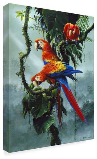 Harro Maass 'Red And Yellow Macaws' Canvas Art, 19"x14"
