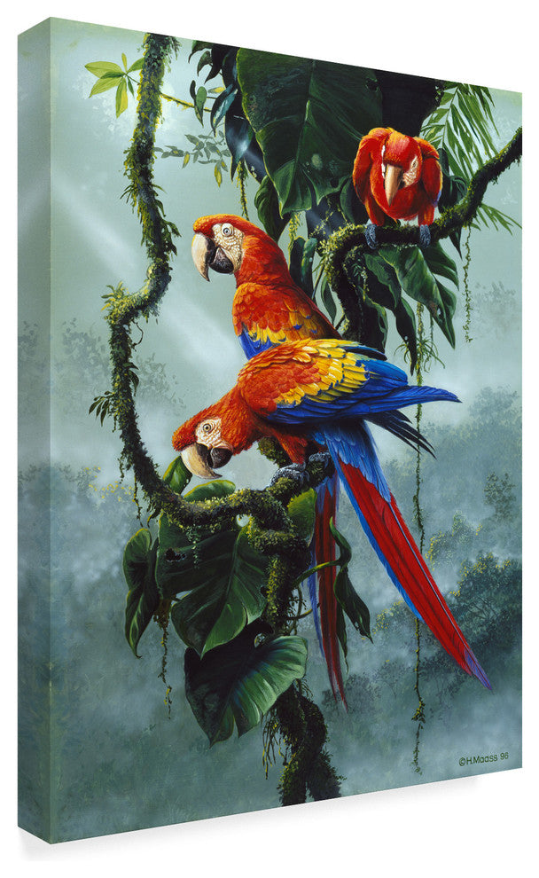 Harro Maass 'Red And Yellow Macaws' Canvas Art, 19"x14"