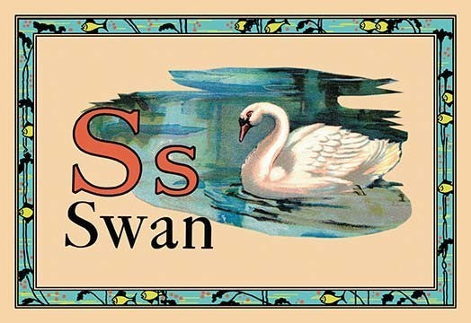 Swan- Fine Art Giclee Print 24" x 36"