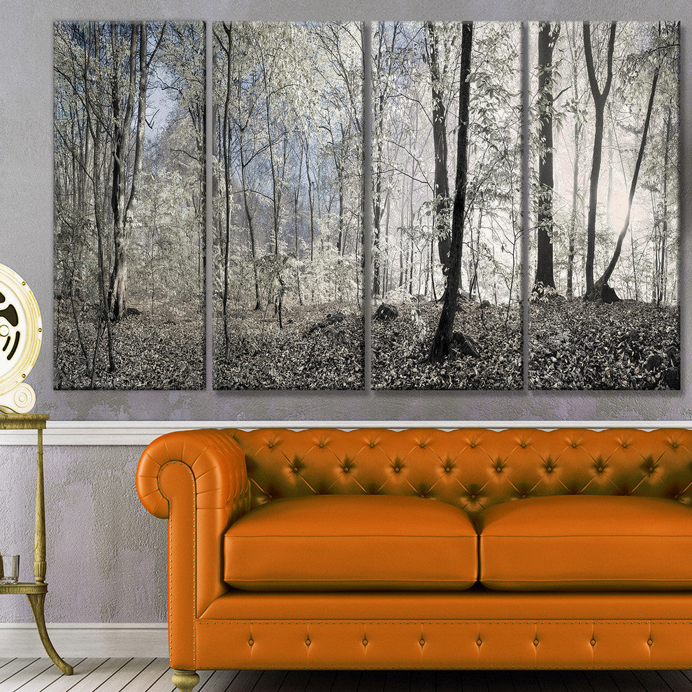Dark Morning in Forest Panorama, Landscape Canvas Art Print, 48"x28", 4 Panels
