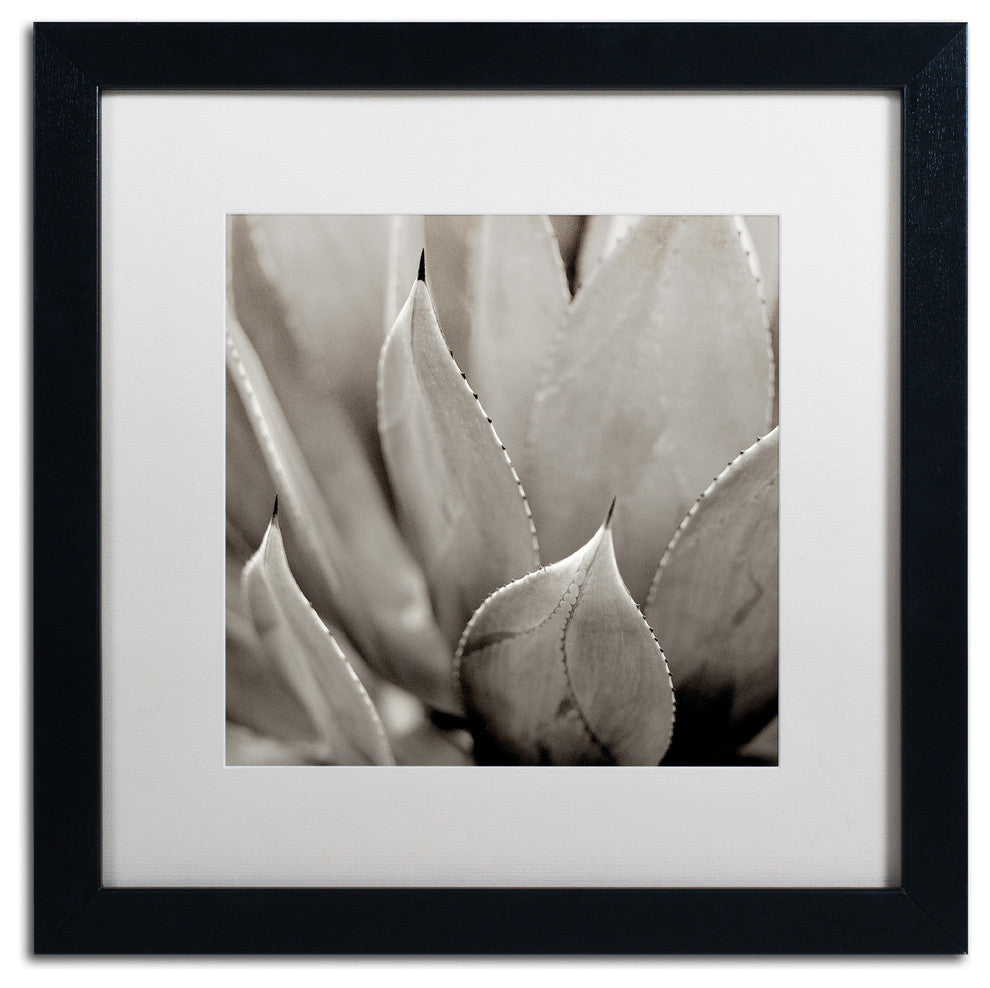 Alan Blaustein ''Florison 49'' Art, Black Frame, White Mat, 16x16