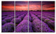 "Red Sunset Over Lavender Field" Wall Art Landscape, 4 Panels, 48"x28"