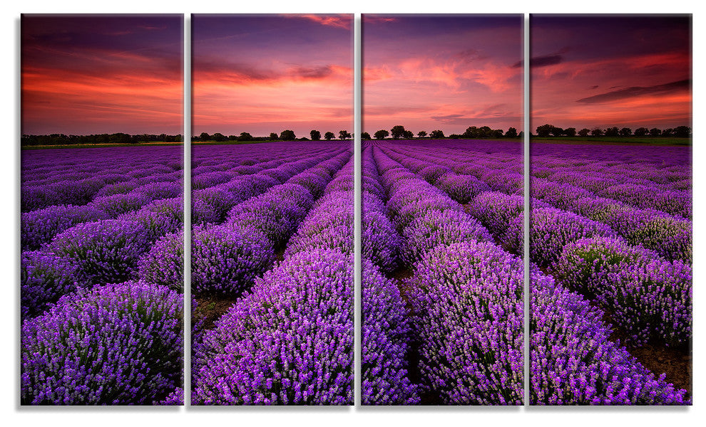 "Red Sunset Over Lavender Field" Wall Art Landscape, 4 Panels, 48"x28"