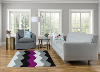 Asexual Chevron Chenille Rug, Asexual Chevron, 4'x6'