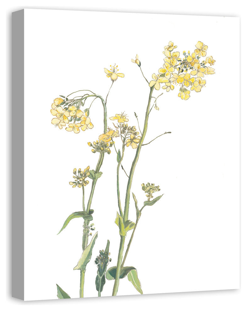 Yellow and Green Floral Botanicals 24x30 Canvas Wall Art