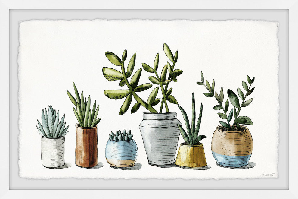 "Ornamental Succulents" Framed Painting Print, 12x8