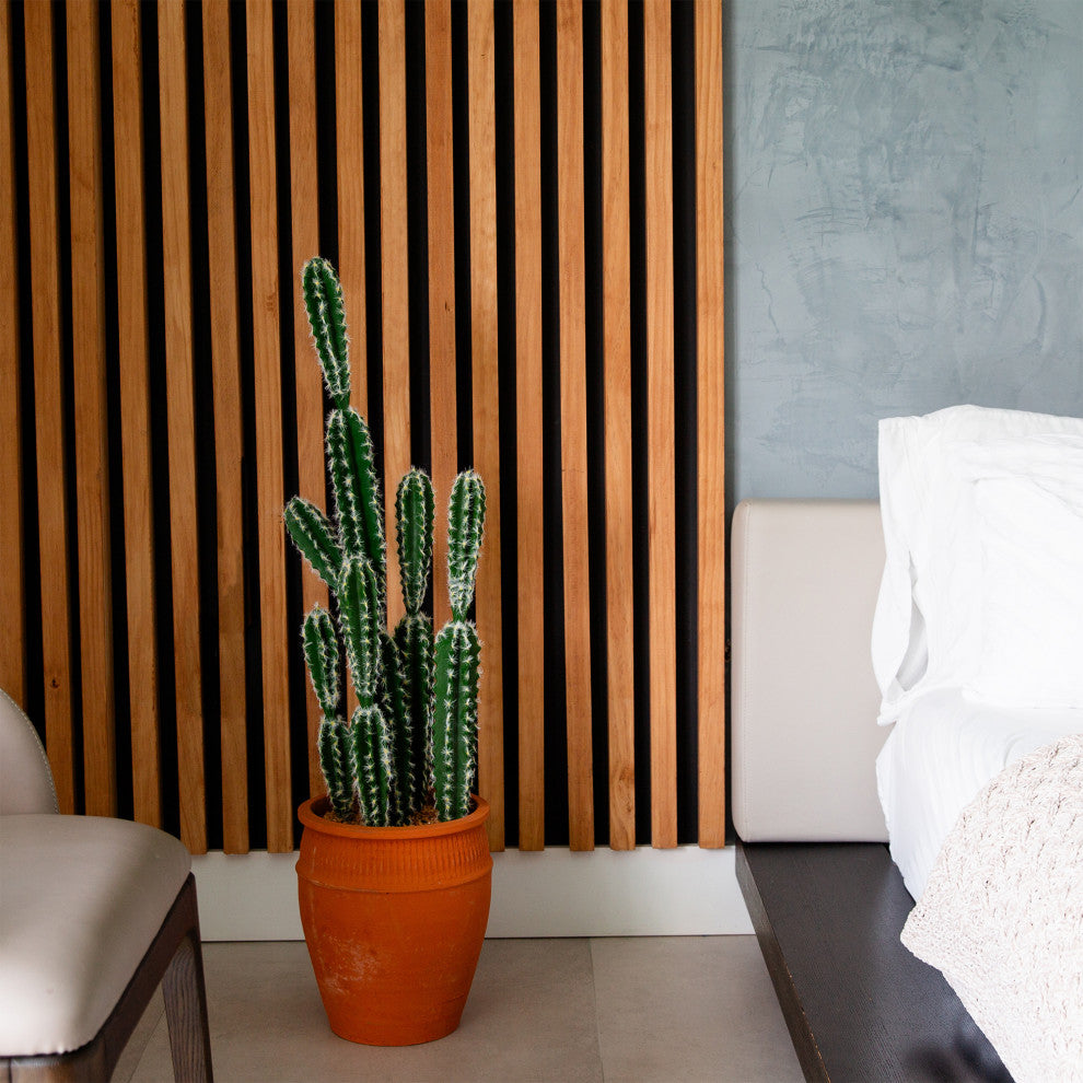 Lifestyle image showing the cactus fully in a real-room environment.