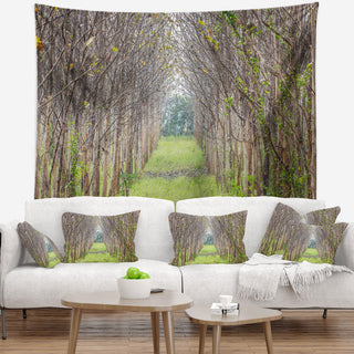 Pathway Through Fall Green Trees Landscape Photography Wall Tapestry, 92"x78"