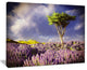 "Green Tree in Lavender Field" Modern Landscape Wall Art Canvas, 40"x30"