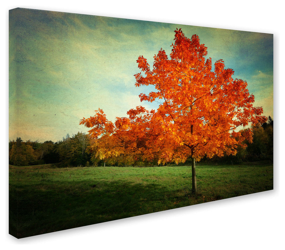 ''Vieillot'' Canvas Art by Philippe Sainte-Laudy