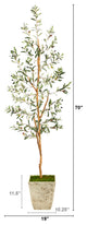 70" Olive Artificial Tree, Country White Planter