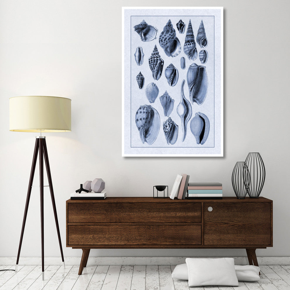 "Shells: Trachelipoda #6 (Blue)" Digital Paper Print by G.B. Sowerby, 42"x62"