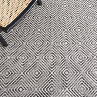 Safavieh Augustine Collection, AGT505 Rug