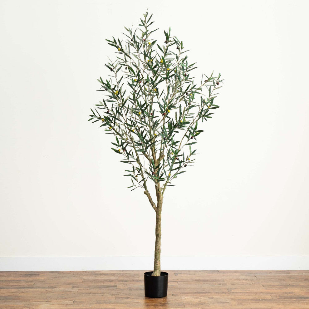 Lifestyle image showing the plant in a home interior.