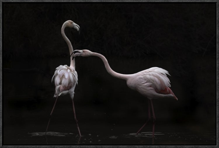 "Not All Is Rosy" Framed Canvas Giclee by Martine Benezech, 25x17"