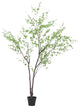 Monadnock Artificial Enkianthus Tree, Green, 78.5 Wx71 Dx118 H