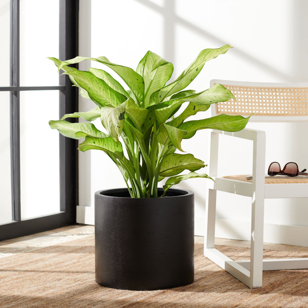 Safavieh Braslen Outdoor Planter, Black