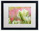 Cora Niele ''White and Green Tulip'' Matted Framed Art