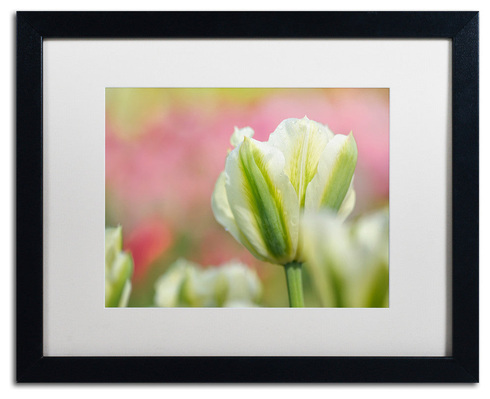 Cora Niele ''White and Green Tulip'' Matted Framed Art