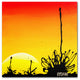 'Century Sunset' Canvas Art by Roderick Stevens