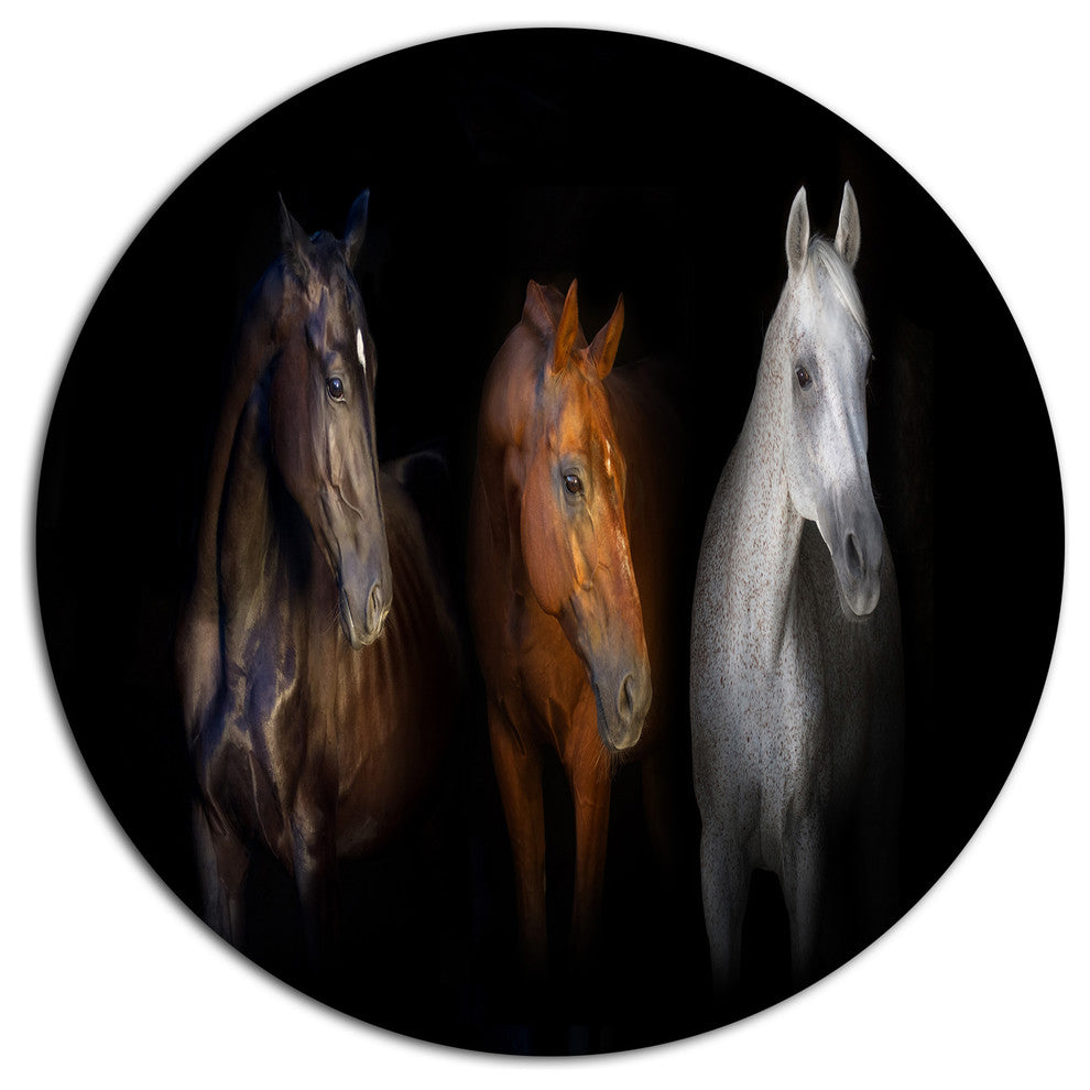 Black Red And White Horses, Animal Round Wall Art, 11"