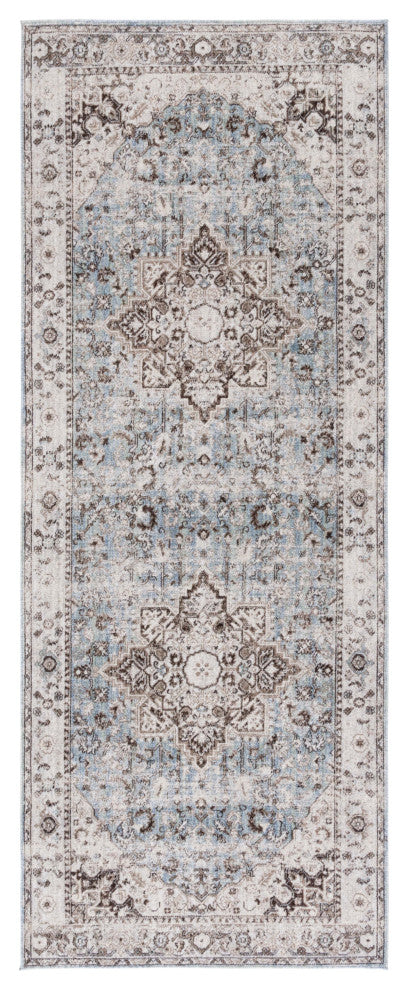 Safavieh Antique Patina ANP644 Rug, Grey/Blue, 4'x10'