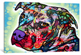 "Bulls Eye" by Dean Russo, 40x26x1.5"