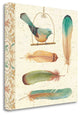 "Feather Tales I" By Daphne Brissonnet, Giclee Print on Gallery Wrap Canvas