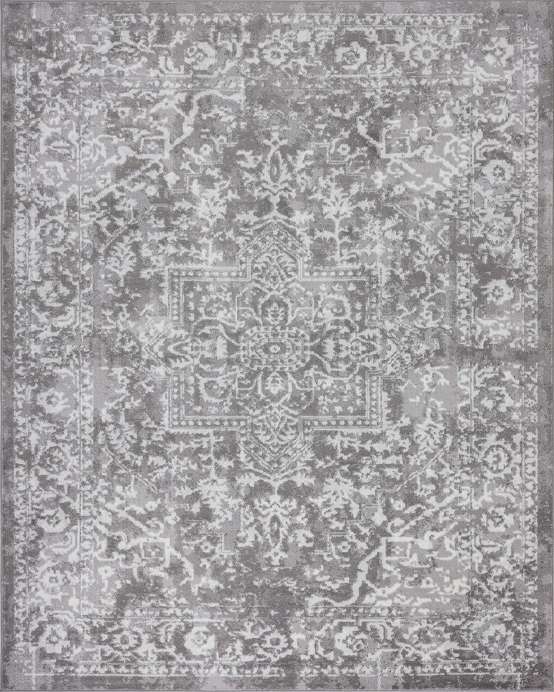 Cinda Traditional Oriental Gray Rectangle Area Rug, 9' x 12'