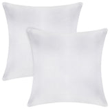 A1HC Throw Pillow Insert, Down Alternative Fill, Set of 2, White, 18"x18"