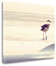 27" Coastal Seagull on the Beach Print on Gallery Wrap Canvas Wall Art