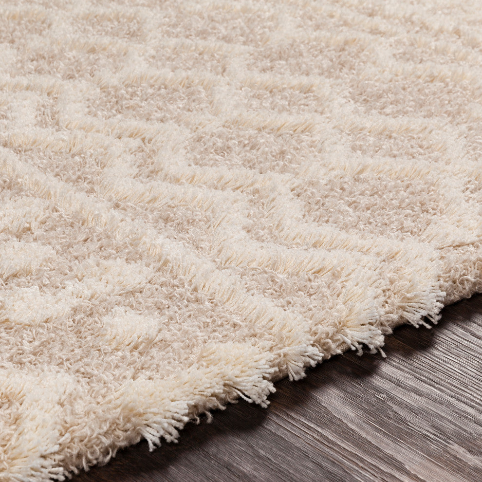 Urban Shag USG-2303 Contemporary Tan/Cream 2'x2'11" Area Rug