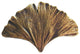 Ginkgo Leaf Knob Antique Brass, Antique Brass