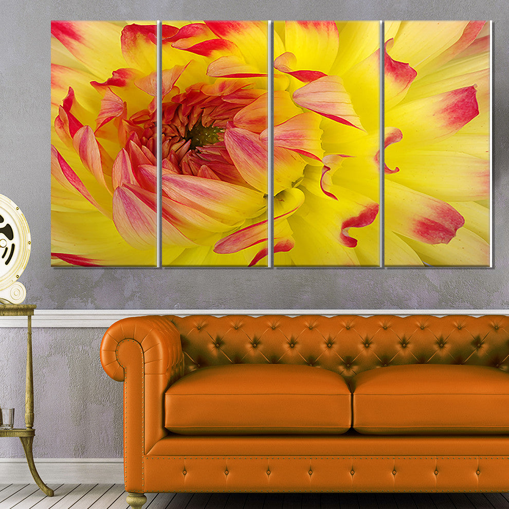 Smooth Yellow Red Petals Close Up, Floral Canvas Art Print, 48"x28", 4 Panels