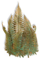 16 Wide Fern Wall Sconce
