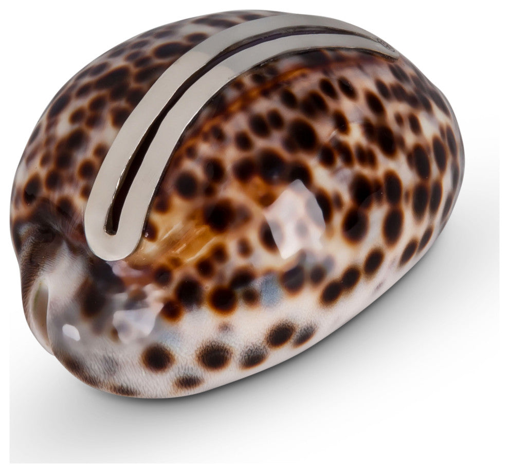 Cowery Shell Place Card Holder with Sterling Silver Insert
