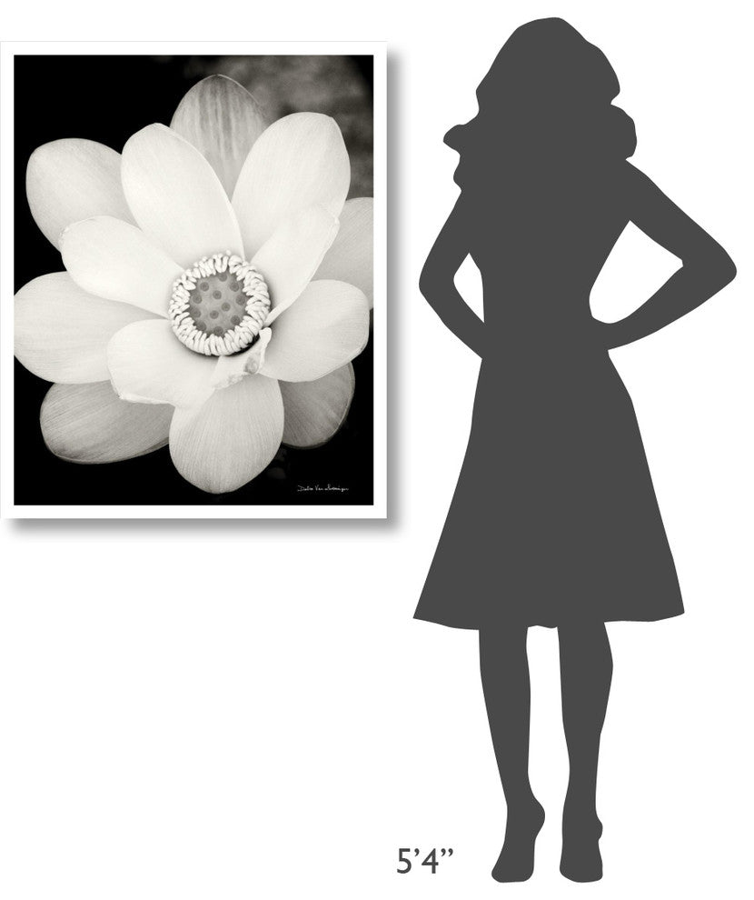 "Lotus Flower III" Digital Paper Print by Debra Van Swearingen, 30"x37"