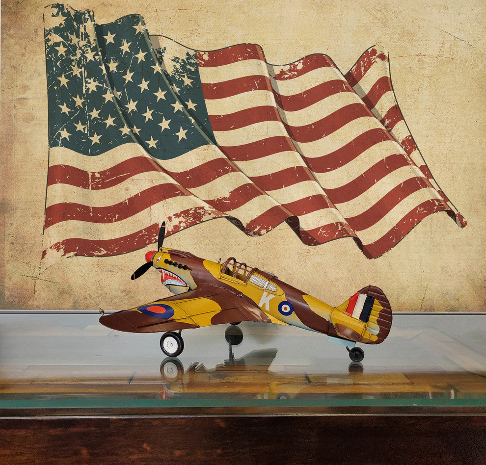 1941 Curtiss Hawk 81A Metal Handmade Scaled Model Metal scale model Airplane